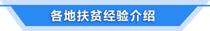 各?。ㄊ校┓鲐毥?jīng)驗(yàn)介紹