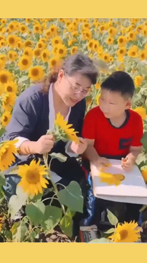她帶著鄉(xiāng)村孩子們，走過“美”的四季